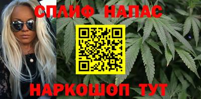 стафф Будённовск