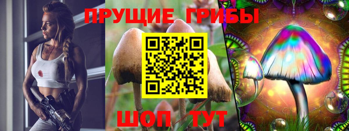 Нарткала  Псилоцибиновые грибы мухоморы  Галлюциногенные грибы прущие грибы  Вход с VPN 